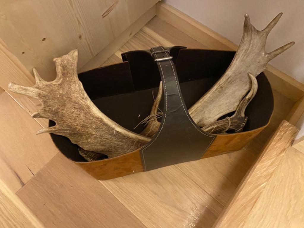 瓦莱迪卡多雷The Wooden House公寓 外观 照片