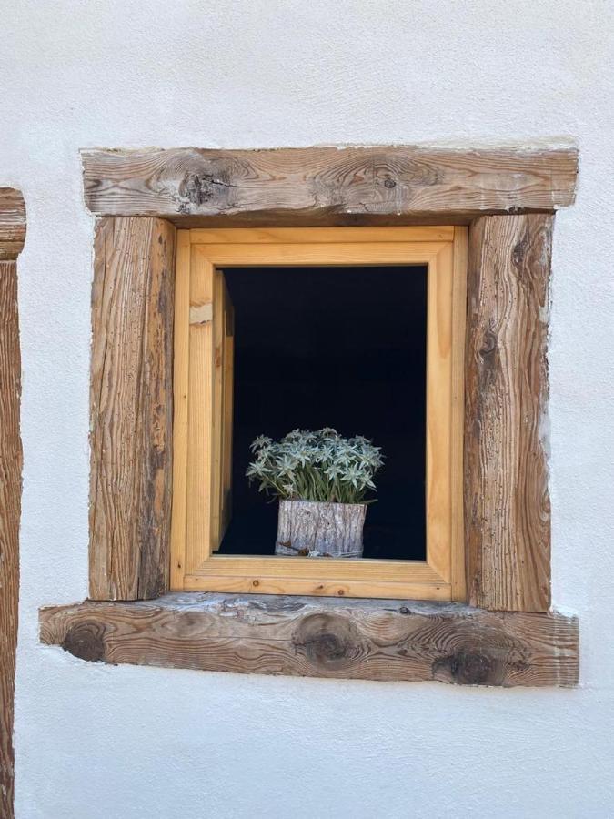 瓦莱迪卡多雷The Wooden House公寓 外观 照片
